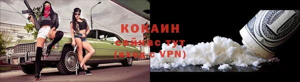 мдпв Богородск