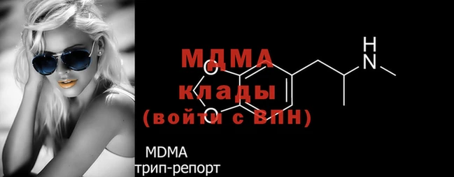прущие грибы Бородино
