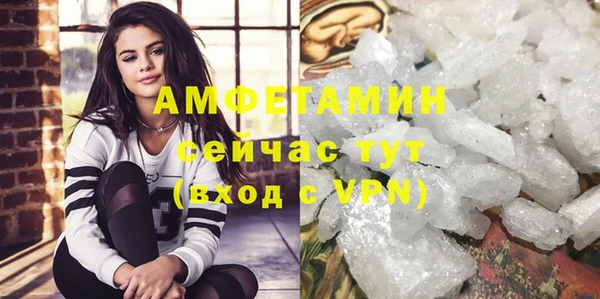 прущие грибы Бородино