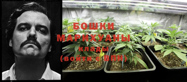 мдпв Богородск