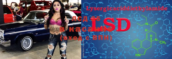 прущие грибы Бородино