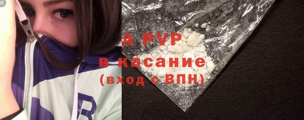 прущие грибы Бородино