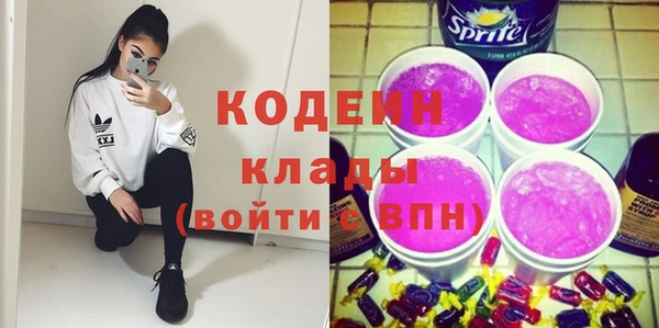 прущие грибы Бородино