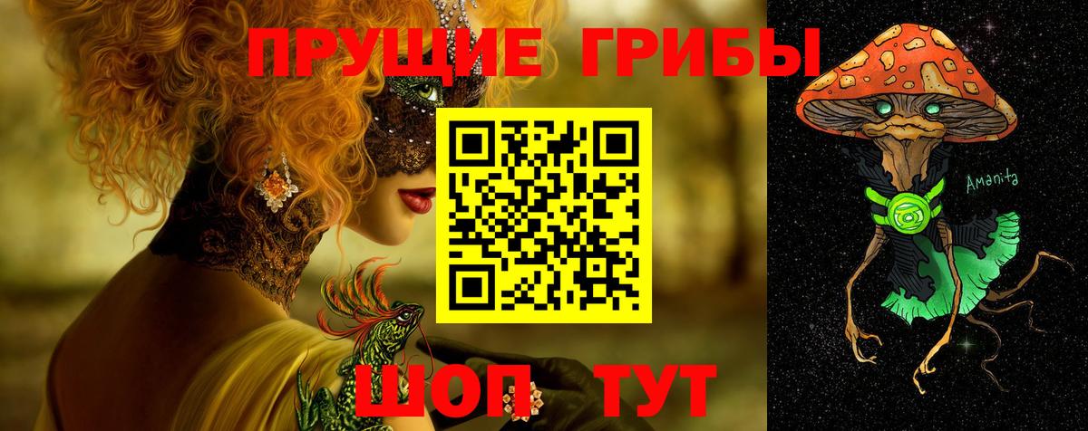 Псилоцибиновые грибы прущие грибы Кстово
