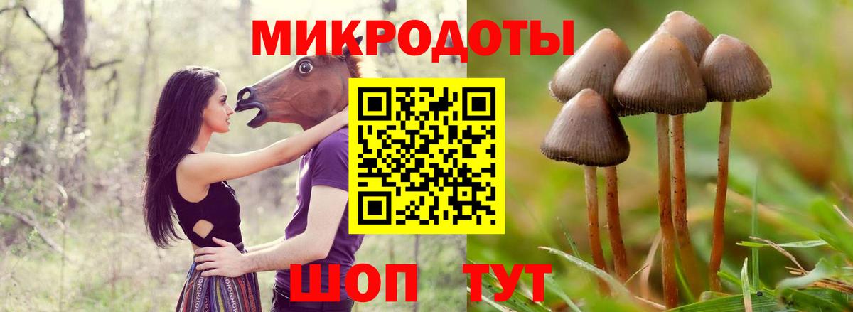 Псилоцибиновые грибы Psilocybine cubensis  Вход с VPN  Кстово 